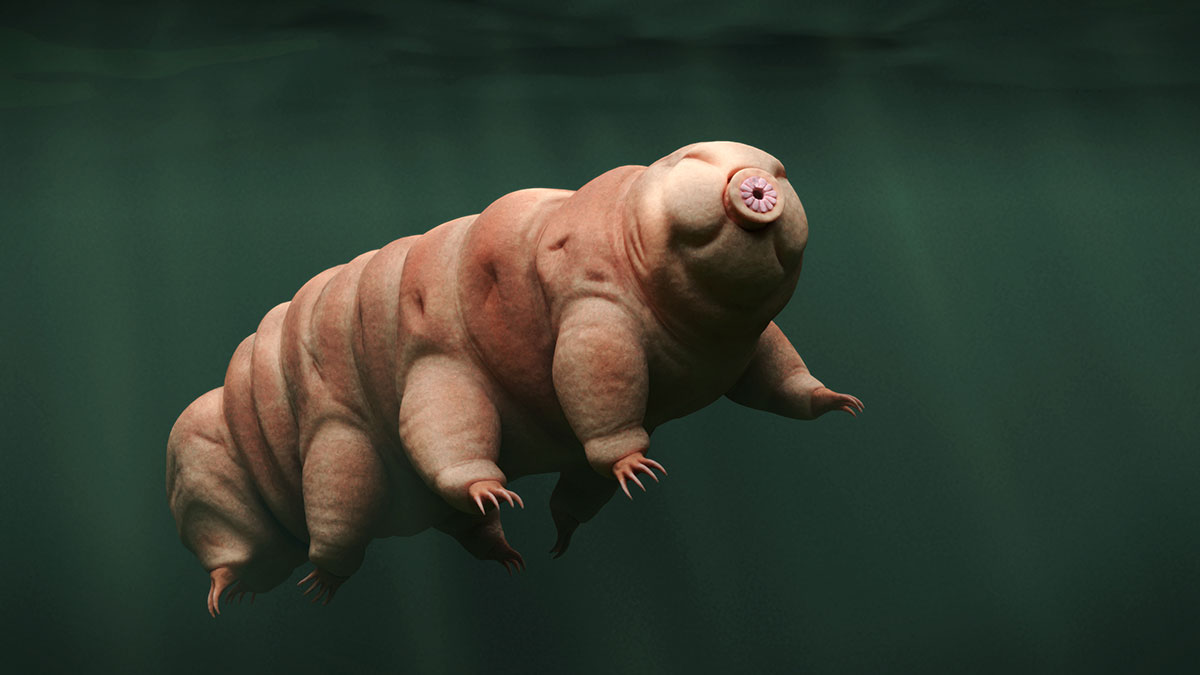 Sagittarius animal tardigrade